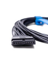 Cable Holter 10 Leads, Schiller Cardiovit
