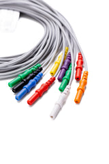 Cable Holter 10 Leads,Broche